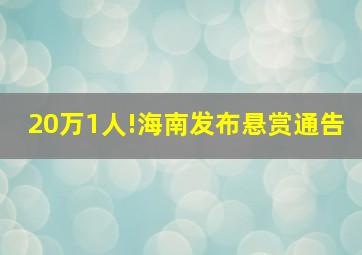 20万1人!海南发布悬赏通告