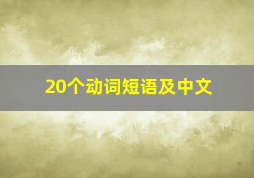 20个动词短语及中文