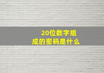 20位数字组成的密码是什么