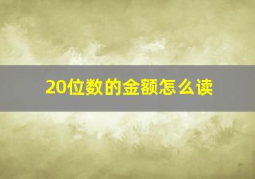 20位数的金额怎么读