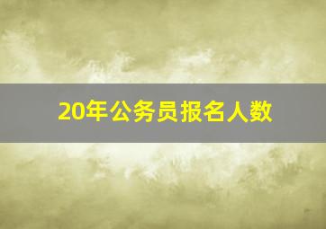 20年公务员报名人数