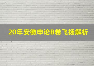 20年安徽申论B卷飞扬解析