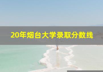 20年烟台大学录取分数线