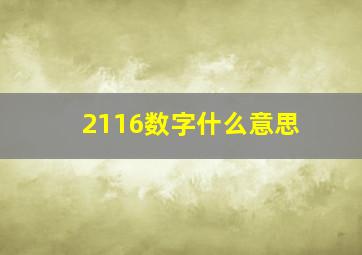 2116数字什么意思