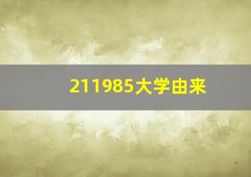 211985大学由来