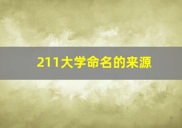 211大学命名的来源