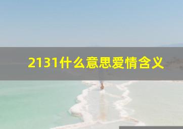 2131什么意思爱情含义