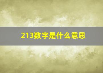 213数字是什么意思