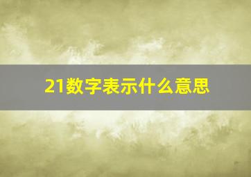 21数字表示什么意思