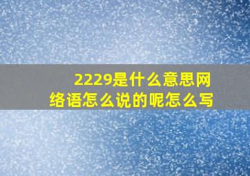 2229是什么意思网络语怎么说的呢怎么写