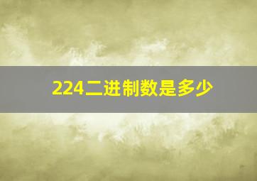 224二进制数是多少