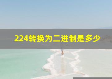 224转换为二进制是多少