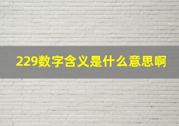 229数字含义是什么意思啊