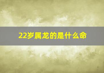 22岁属龙的是什么命