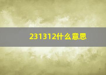 231312什么意思