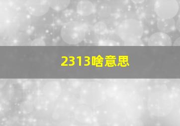 2313啥意思