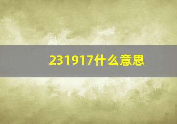 231917什么意思