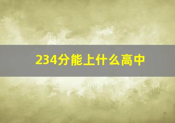 234分能上什么高中