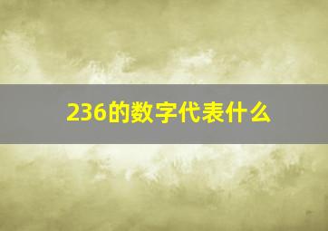 236的数字代表什么