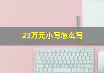 23万元小写怎么写