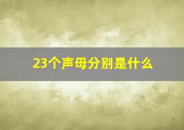 23个声母分别是什么