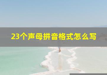 23个声母拼音格式怎么写