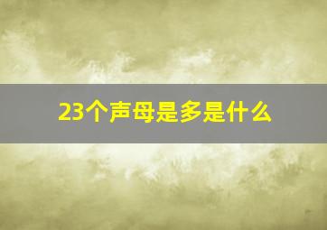 23个声母是多是什么