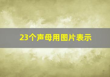 23个声母用图片表示