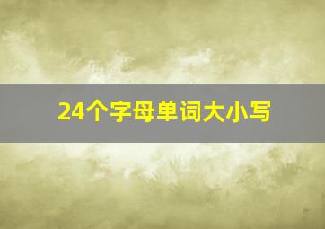 24个字母单词大小写