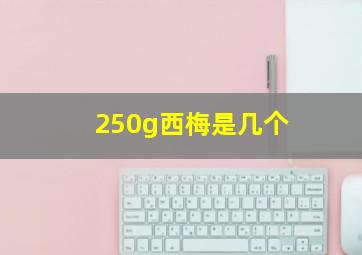 250g西梅是几个