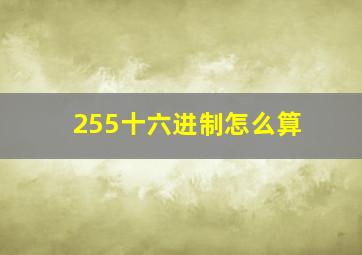 255十六进制怎么算