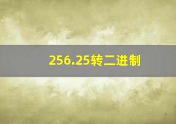 256.25转二进制