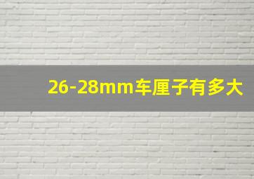 26-28mm车厘子有多大