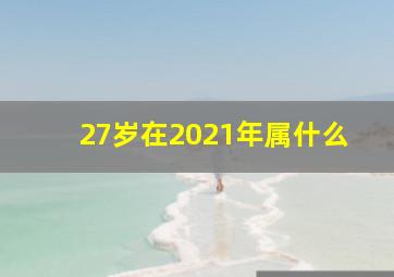 27岁在2021年属什么