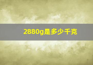 2880g是多少千克