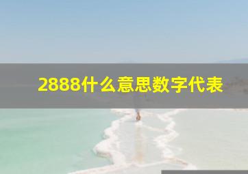 2888什么意思数字代表