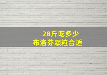 28斤吃多少布洛芬颗粒合适