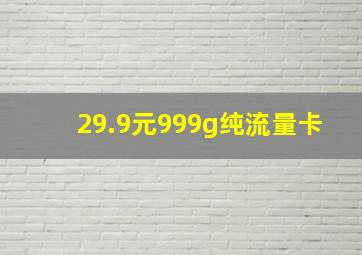 29.9元999g纯流量卡