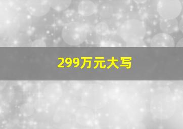 299万元大写