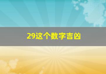 29这个数字吉凶