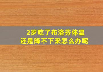 2岁吃了布洛芬体温还是降不下来怎么办呢