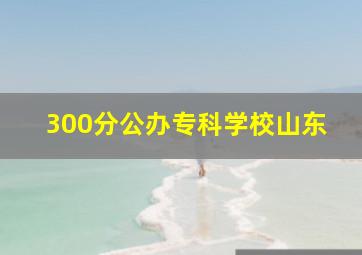 300分公办专科学校山东