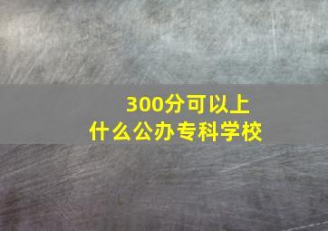 300分可以上什么公办专科学校