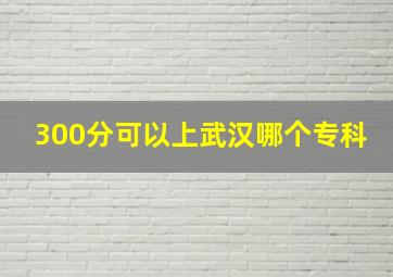 300分可以上武汉哪个专科