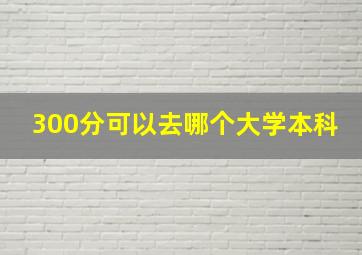 300分可以去哪个大学本科