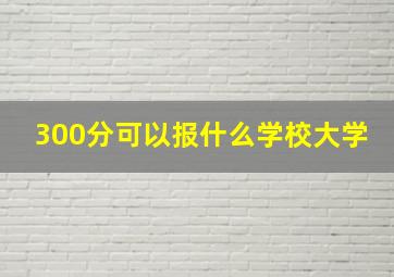 300分可以报什么学校大学