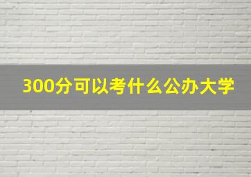 300分可以考什么公办大学