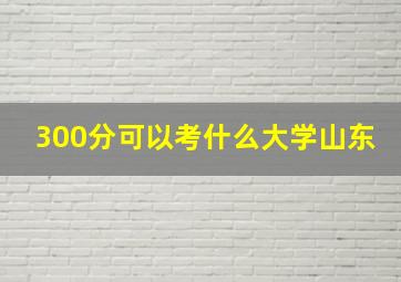 300分可以考什么大学山东