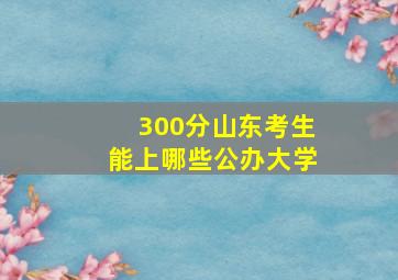 300分山东考生能上哪些公办大学