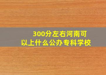 300分左右河南可以上什么公办专科学校